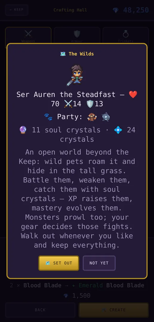 The Adventure gate showing the adventurer, their party and their crystal supplies
